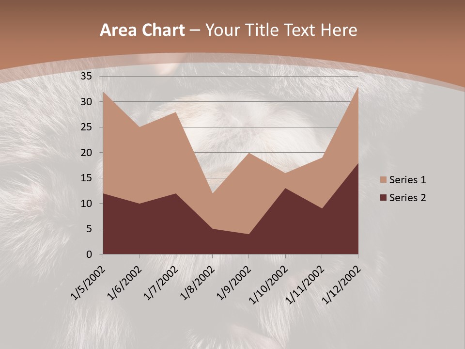 Fur Coat For Women PowerPoint Template