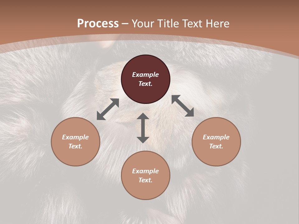 Fur Coat For Women PowerPoint Template