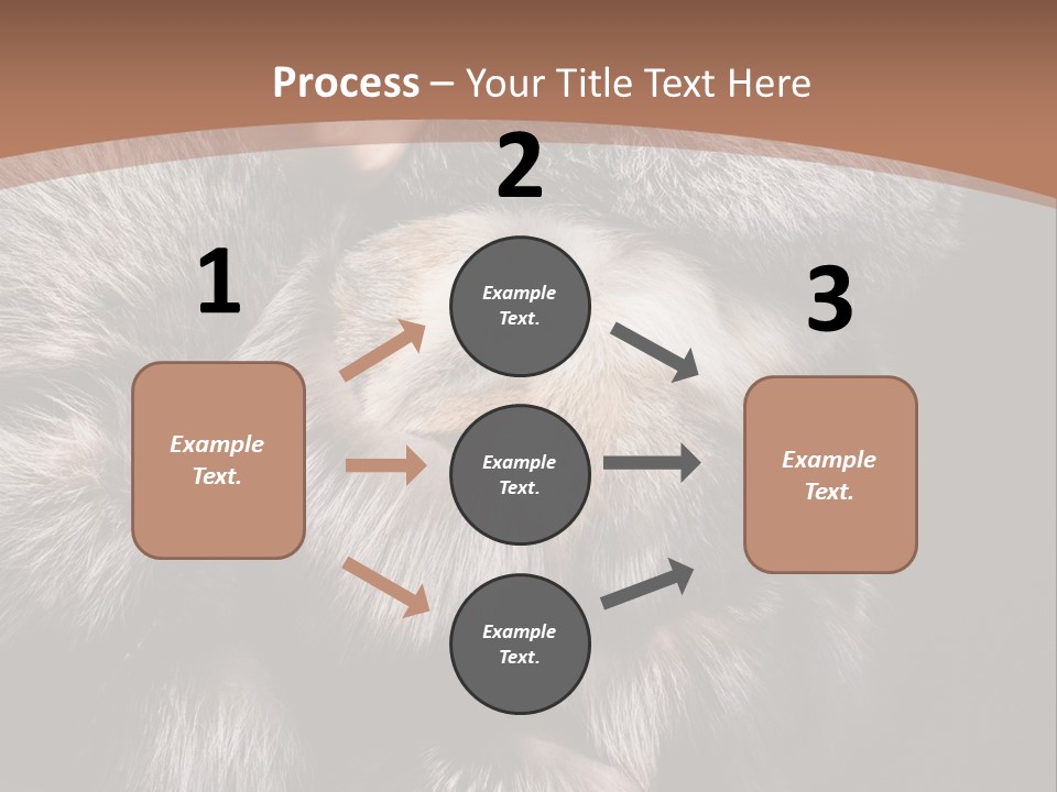 Fur Coat For Women PowerPoint Template