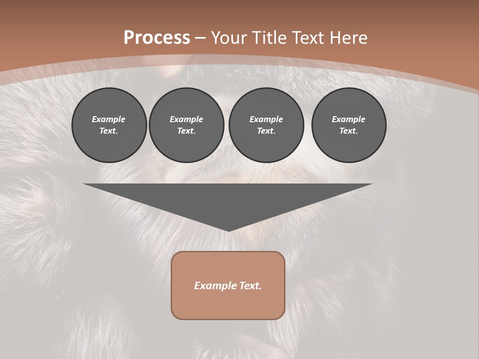 Fur Coat For Women PowerPoint Template