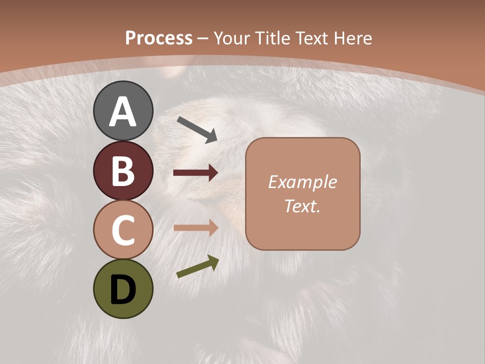 Fur Coat For Women PowerPoint Template