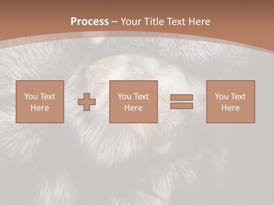 Fur Coat For Women PowerPoint Template