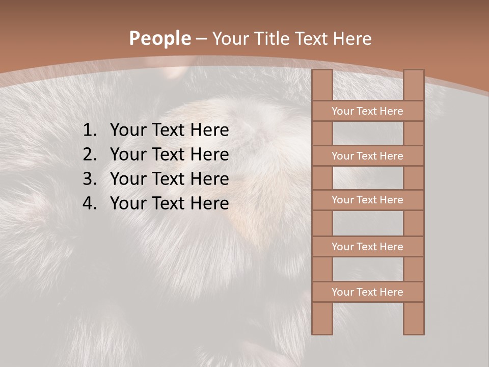 Fur Coat For Women PowerPoint Template