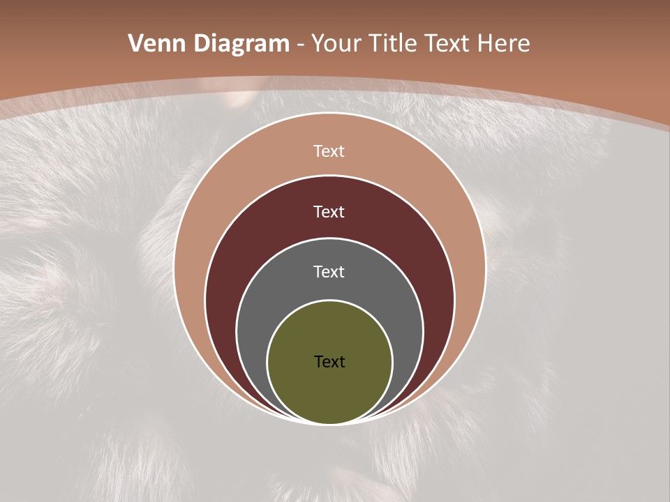 Fur Coat For Women PowerPoint Template