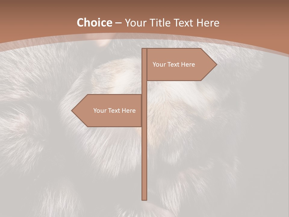 Fur Coat For Women PowerPoint Template