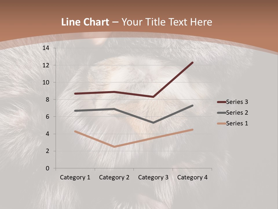 Fur Coat For Women PowerPoint Template