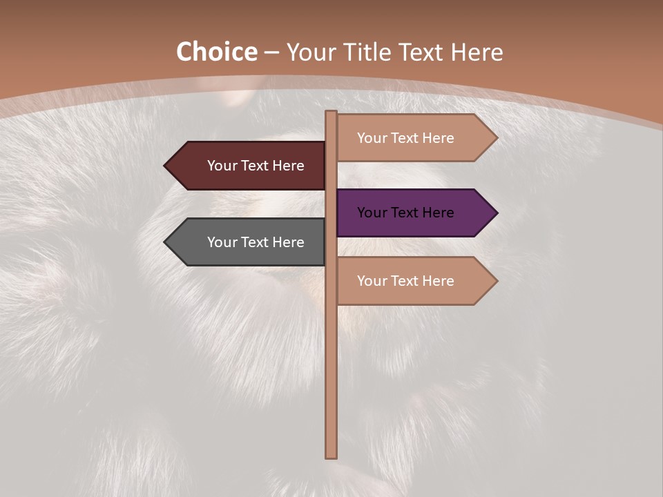 Fur Coat For Women PowerPoint Template