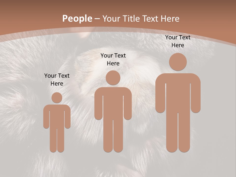 Fur Coat For Women PowerPoint Template