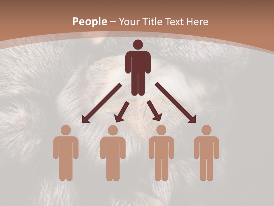 Fur Coat For Women PowerPoint Template