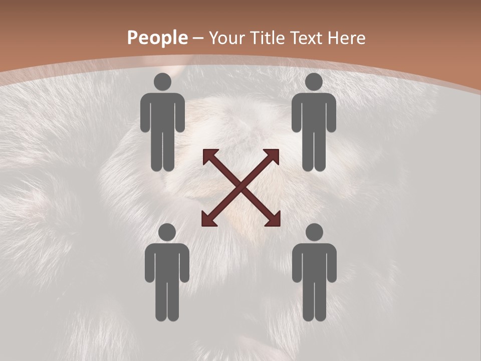 Fur Coat For Women PowerPoint Template