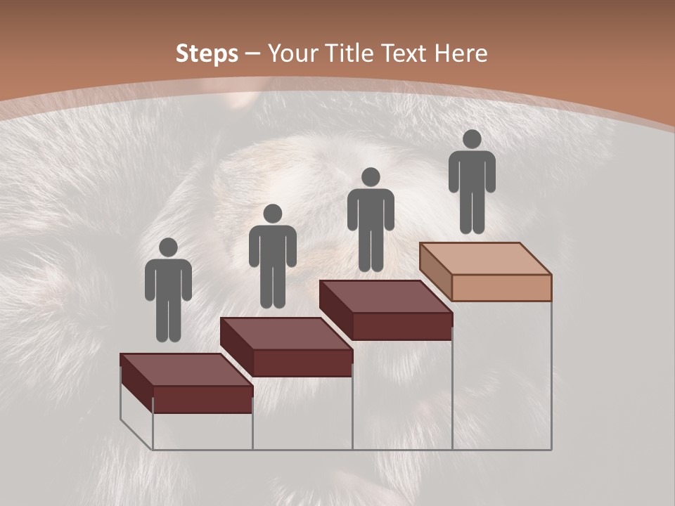 Fur Coat For Women PowerPoint Template