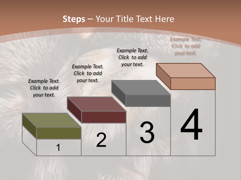 Fur Coat For Women PowerPoint Template