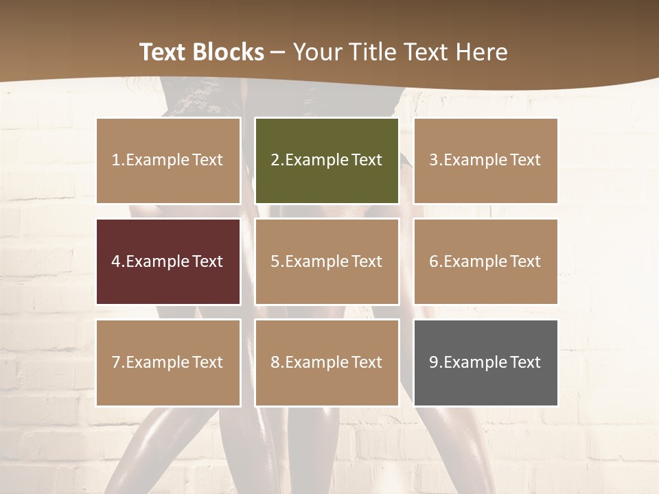 Sheila Kato PowerPoint Template