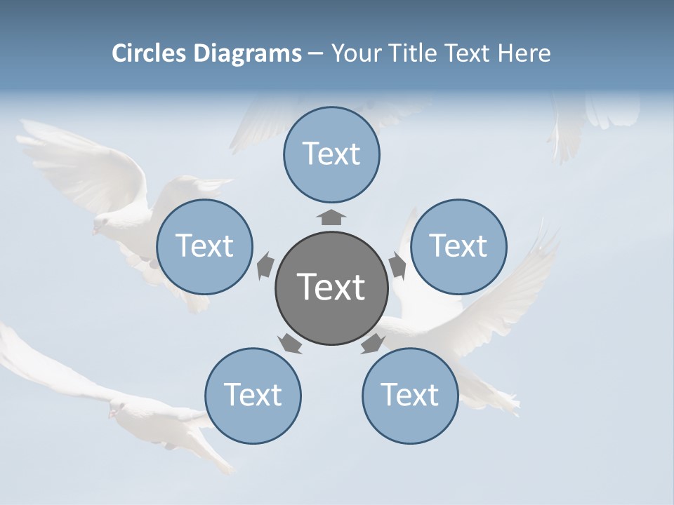 White Doves PowerPoint Template