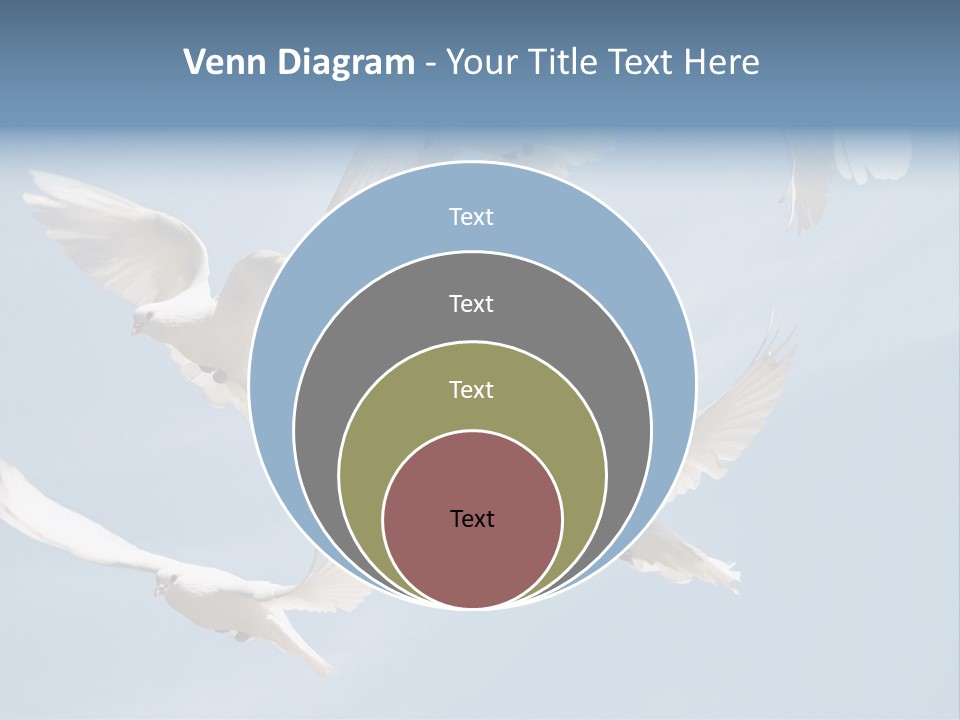 White Doves PowerPoint Template