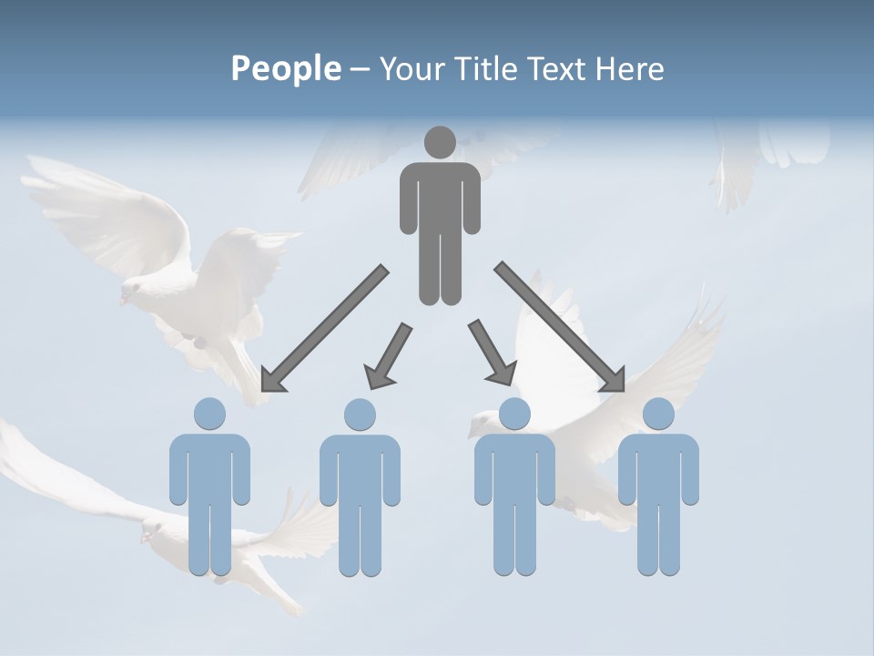 White Doves PowerPoint Template