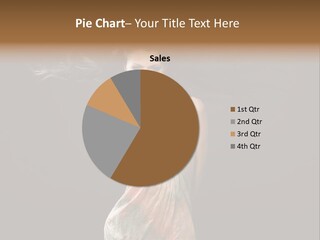 Magento Themes PowerPoint Template