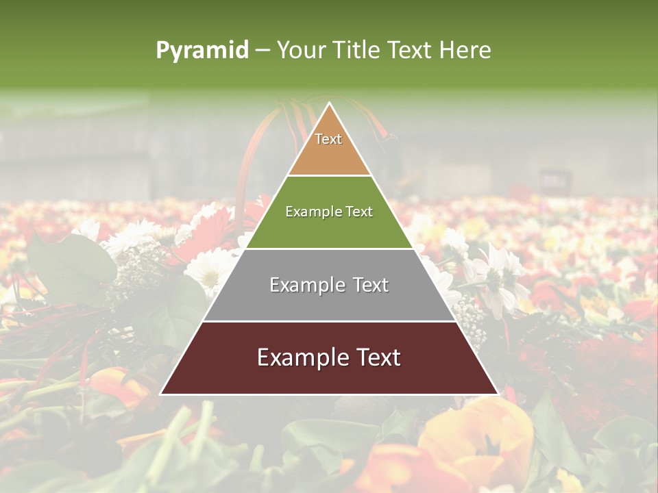 Sad Celebration May PowerPoint Template