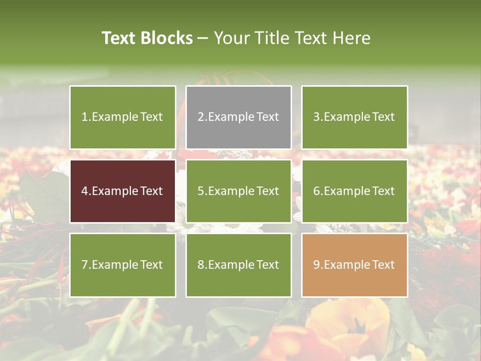 Sad Celebration May PowerPoint Template