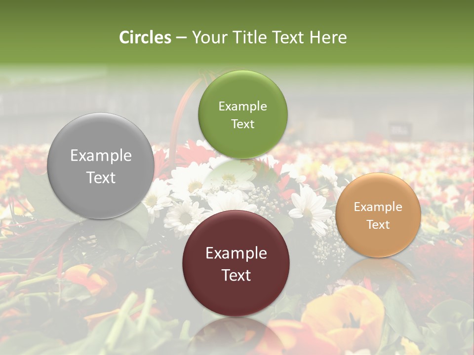 Sad Celebration May PowerPoint Template