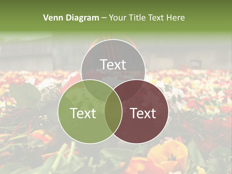 Sad Celebration May PowerPoint Template