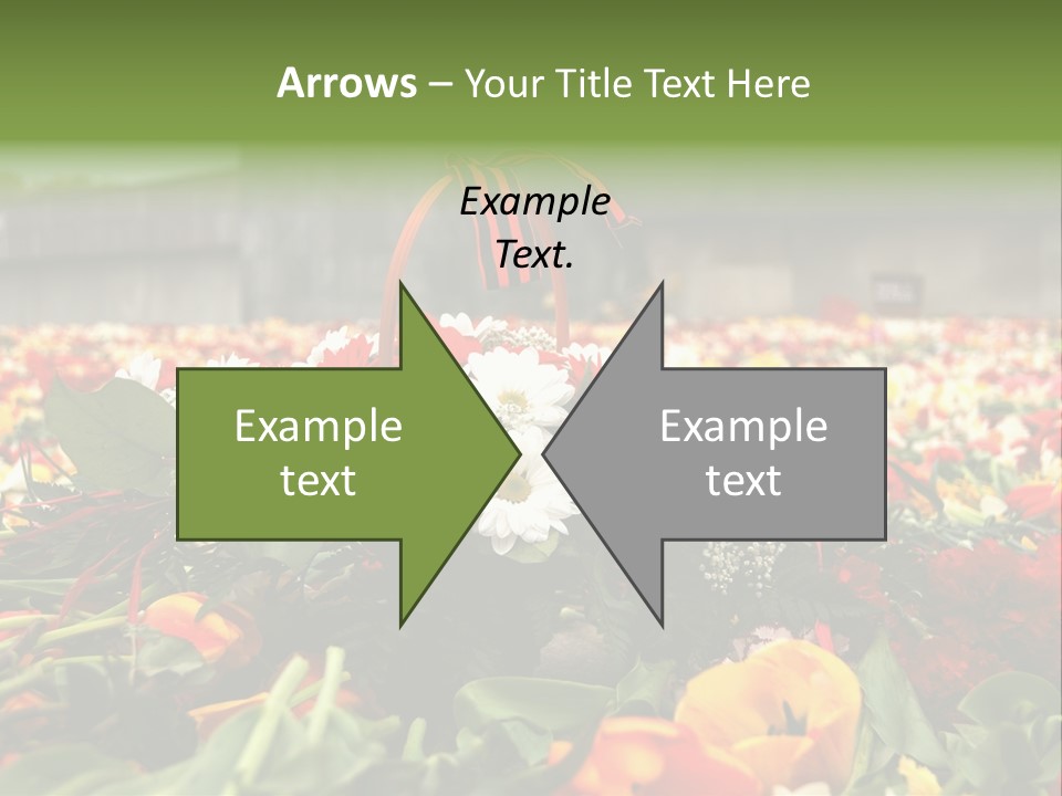 Sad Celebration May PowerPoint Template