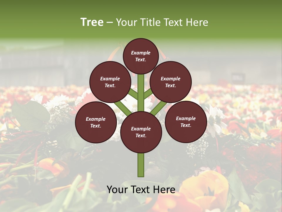 Sad Celebration May PowerPoint Template