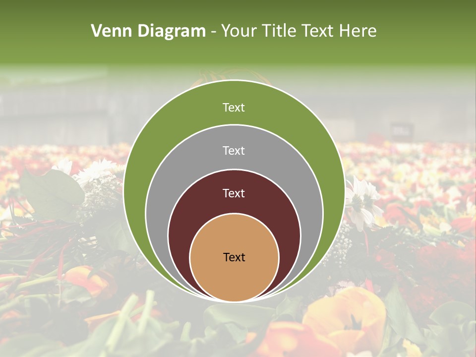 Sad Celebration May PowerPoint Template