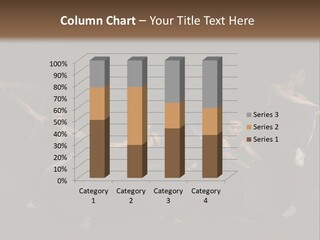 Corporation Corporate Meeting PowerPoint Template