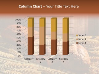 Rural Dough Sunflower PowerPoint Template