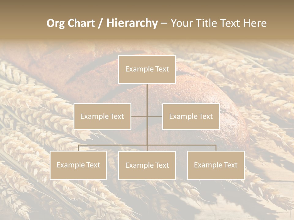 Baker Nutrition Composition PowerPoint Template