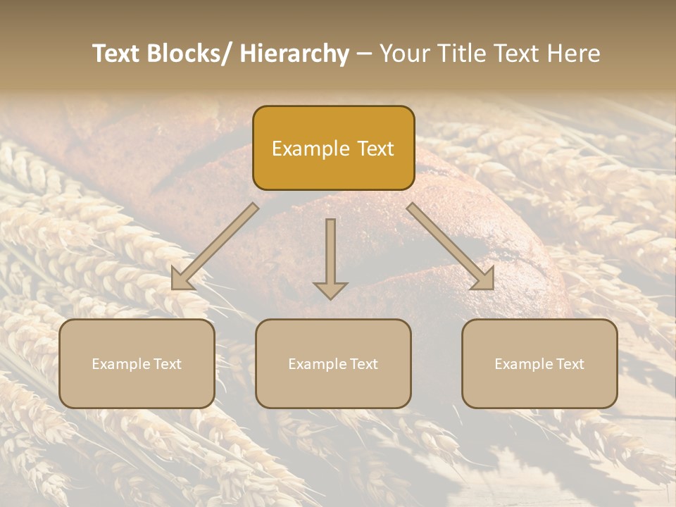Baker Nutrition Composition PowerPoint Template