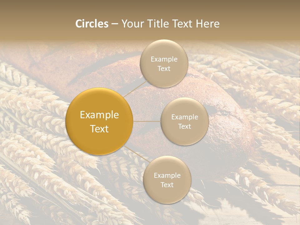 Baker Nutrition Composition PowerPoint Template