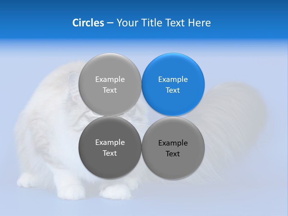 Pedigree Nature Brown PowerPoint Template