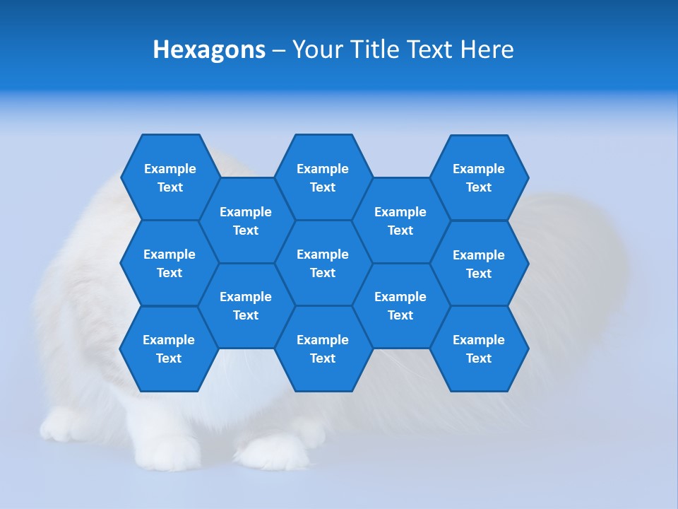 Pedigree Nature Brown PowerPoint Template