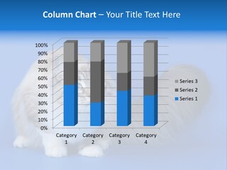 Pedigree Nature Brown PowerPoint Template