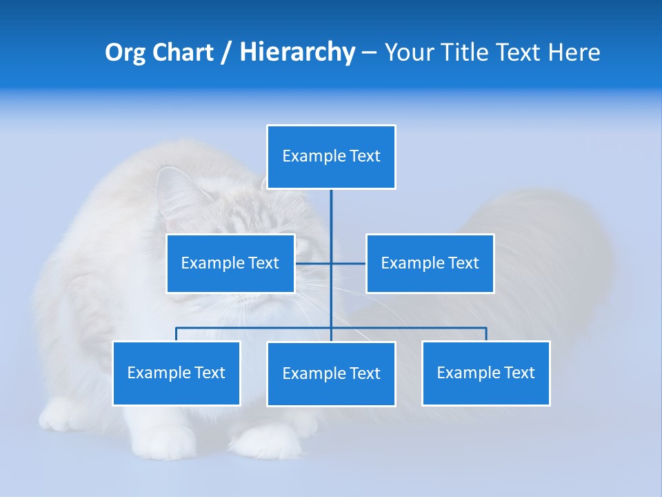 Pedigree Nature Brown PowerPoint Template