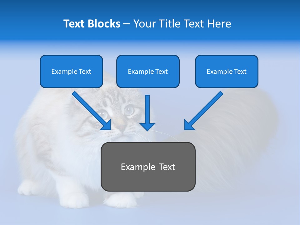 Pedigree Nature Brown PowerPoint Template