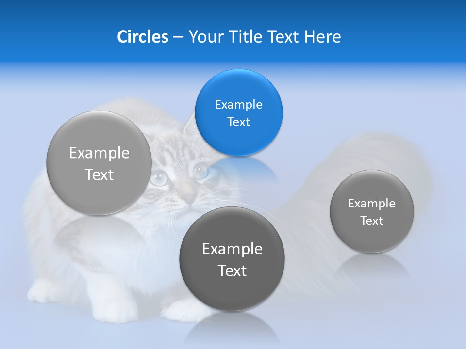 Pedigree Nature Brown PowerPoint Template