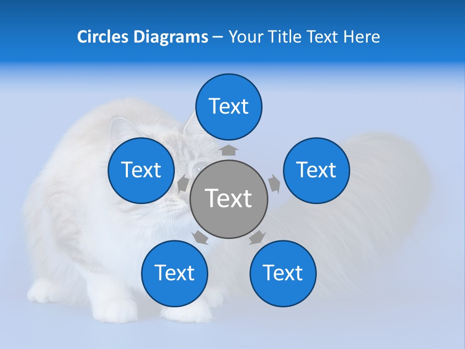 Pedigree Nature Brown PowerPoint Template