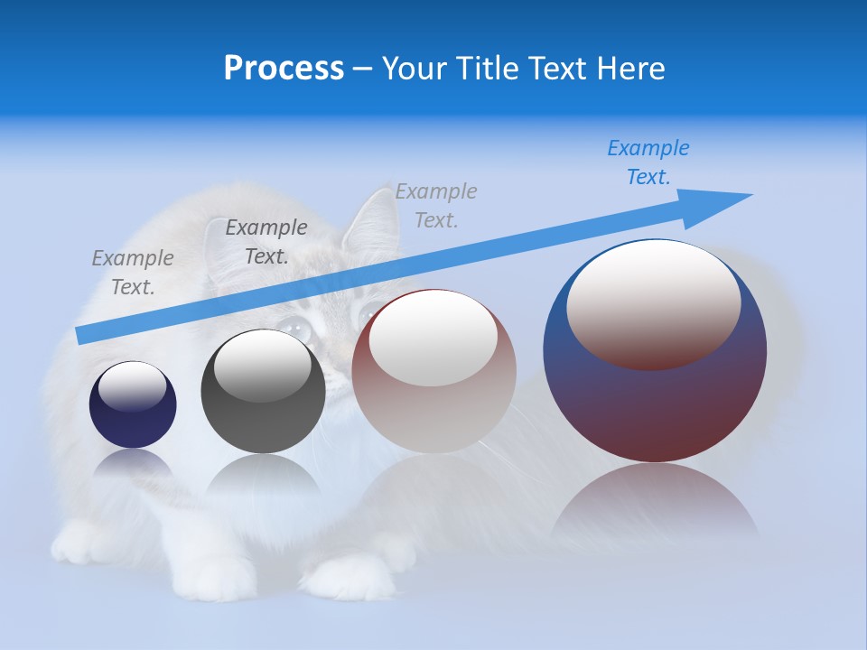 Pedigree Nature Brown PowerPoint Template