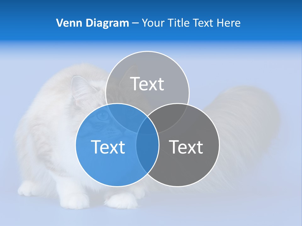 Pedigree Nature Brown PowerPoint Template