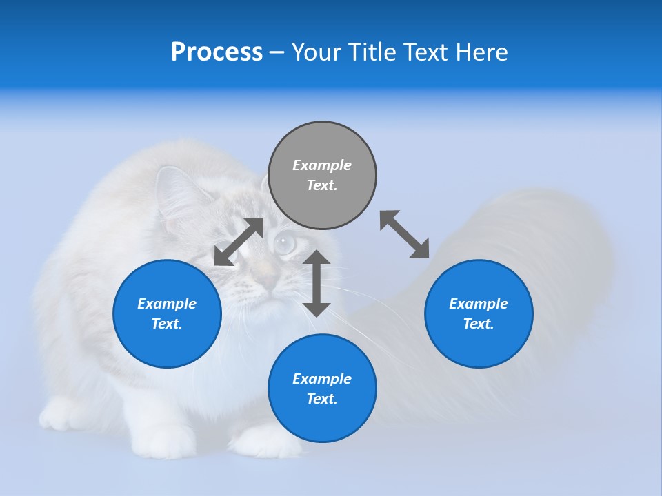 Pedigree Nature Brown PowerPoint Template