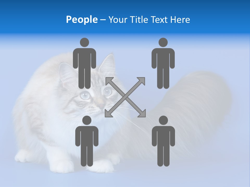 Pedigree Nature Brown PowerPoint Template