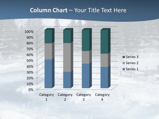 Gothic Winter PowerPoint Template