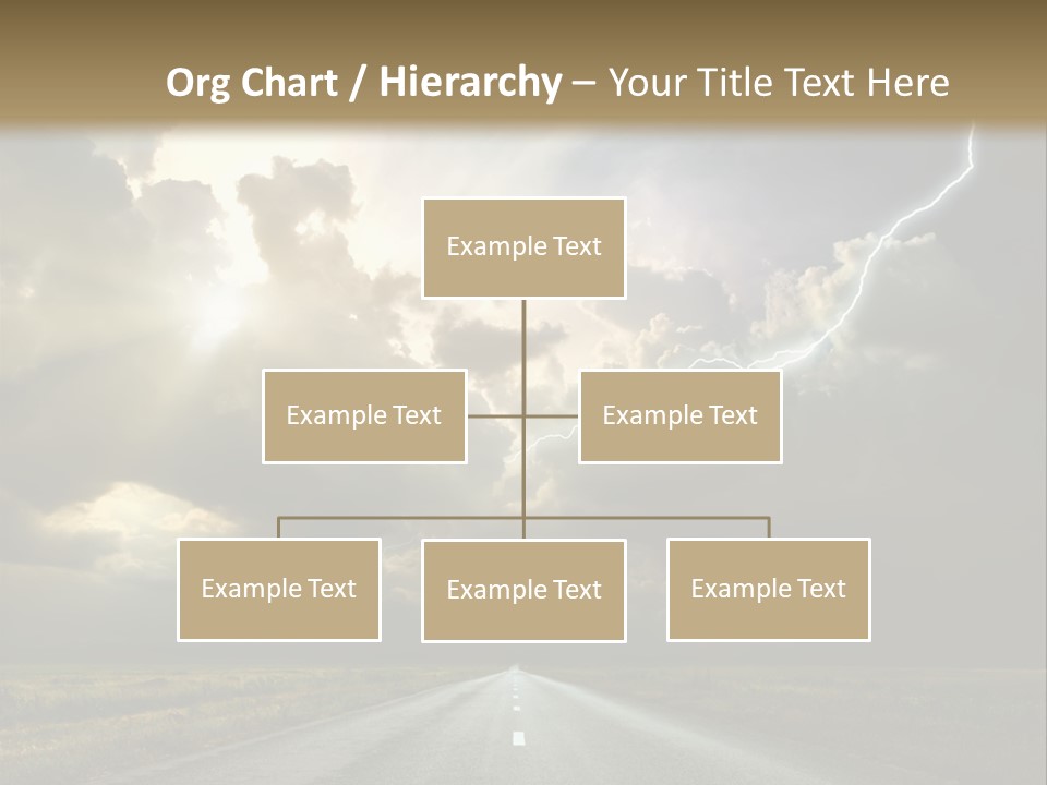 Candi Staton You Ve Got The Love PowerPoint Template