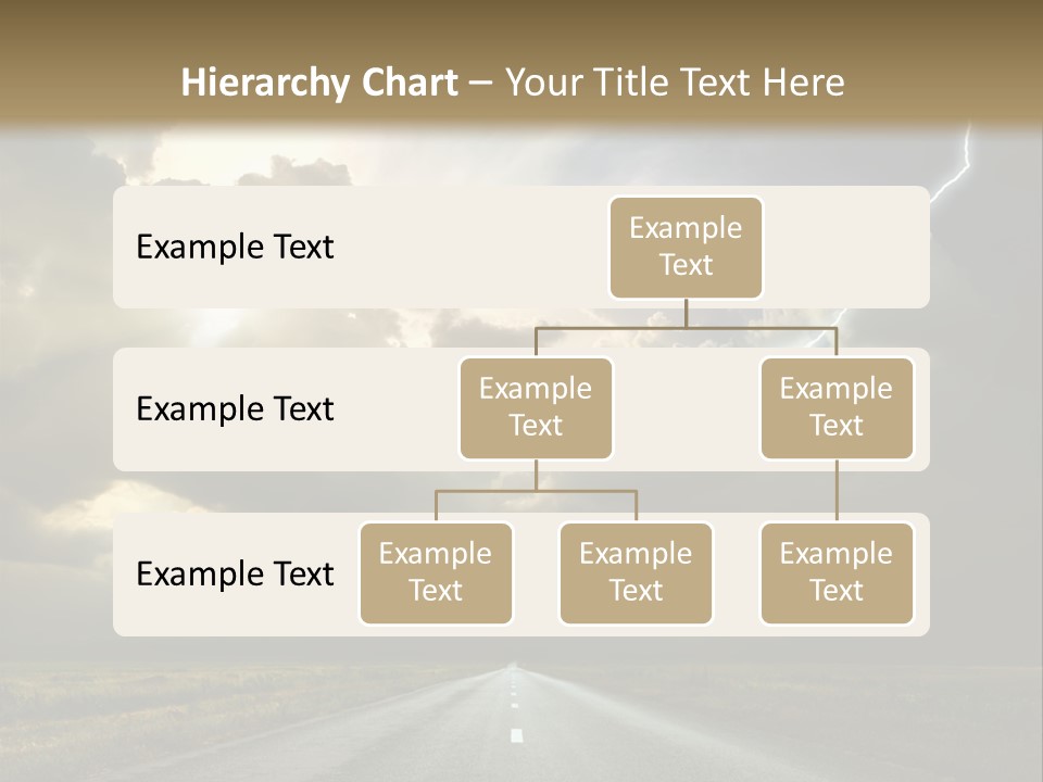 Candi Staton You Ve Got The Love PowerPoint Template