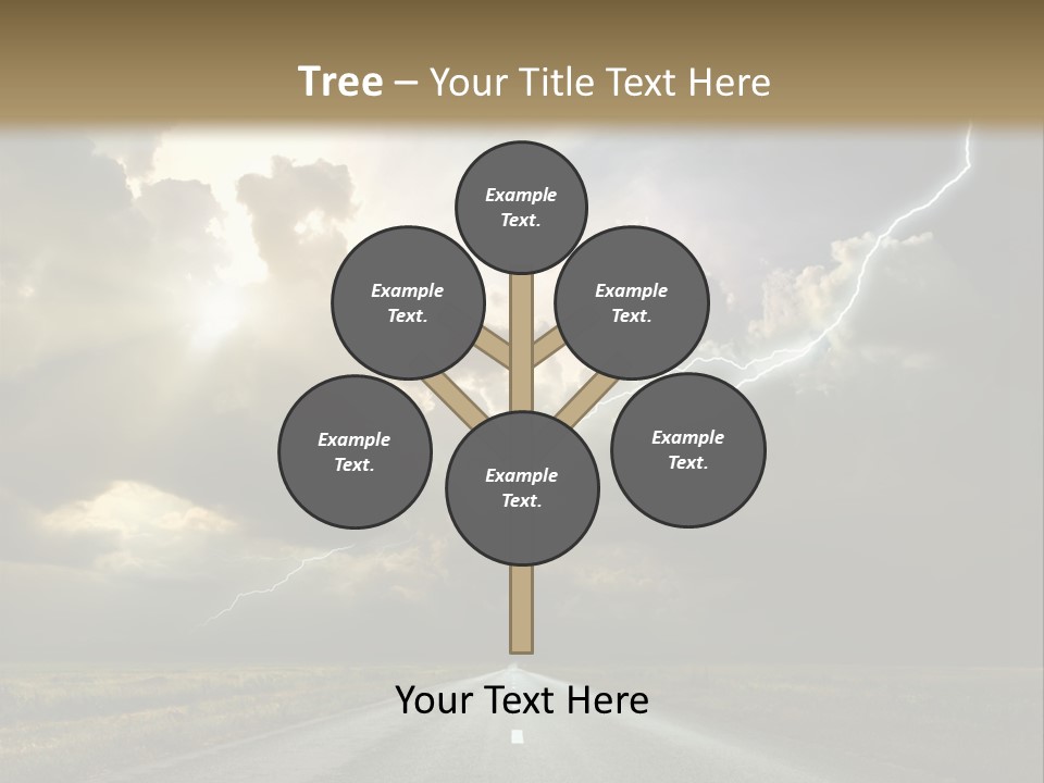 Candi Staton You Ve Got The Love PowerPoint Template