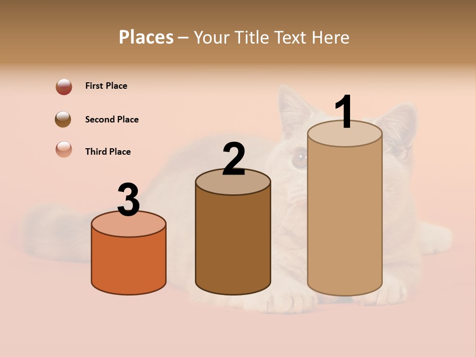 Cat Wallpaper 1920X1080 PowerPoint Template