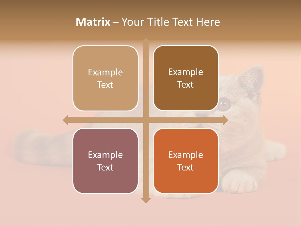 Cat Wallpaper 1920X1080 PowerPoint Template